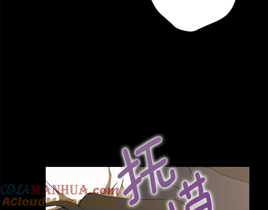 一切都是错觉 第92话 没有人会爱你 第205页
