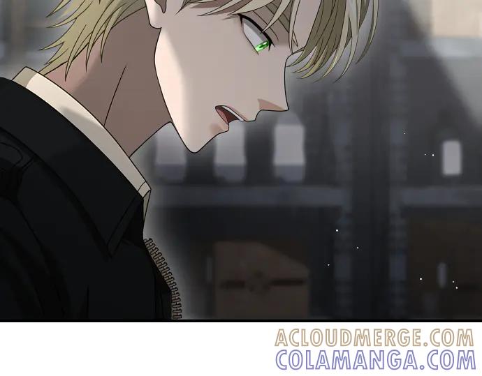 《凡菲尔德的秘密》第59话 秘密武器 第161页