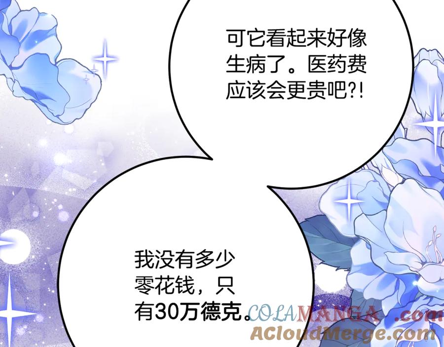 《刻薄公爵家的合约女儿》第20话 崽崽砍价 第149页