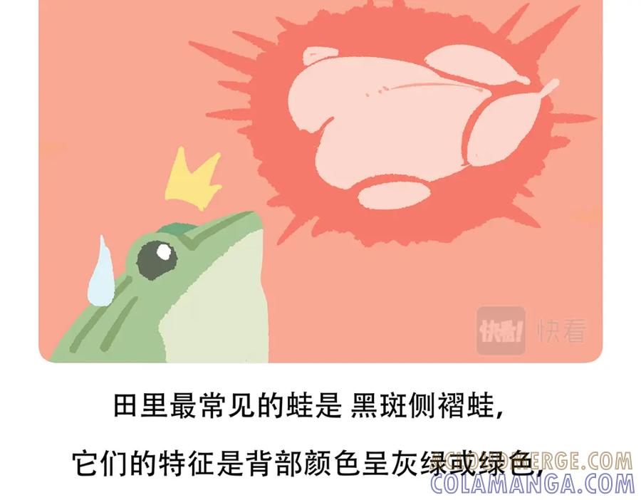 《胖达x胖达》第86话 第21页