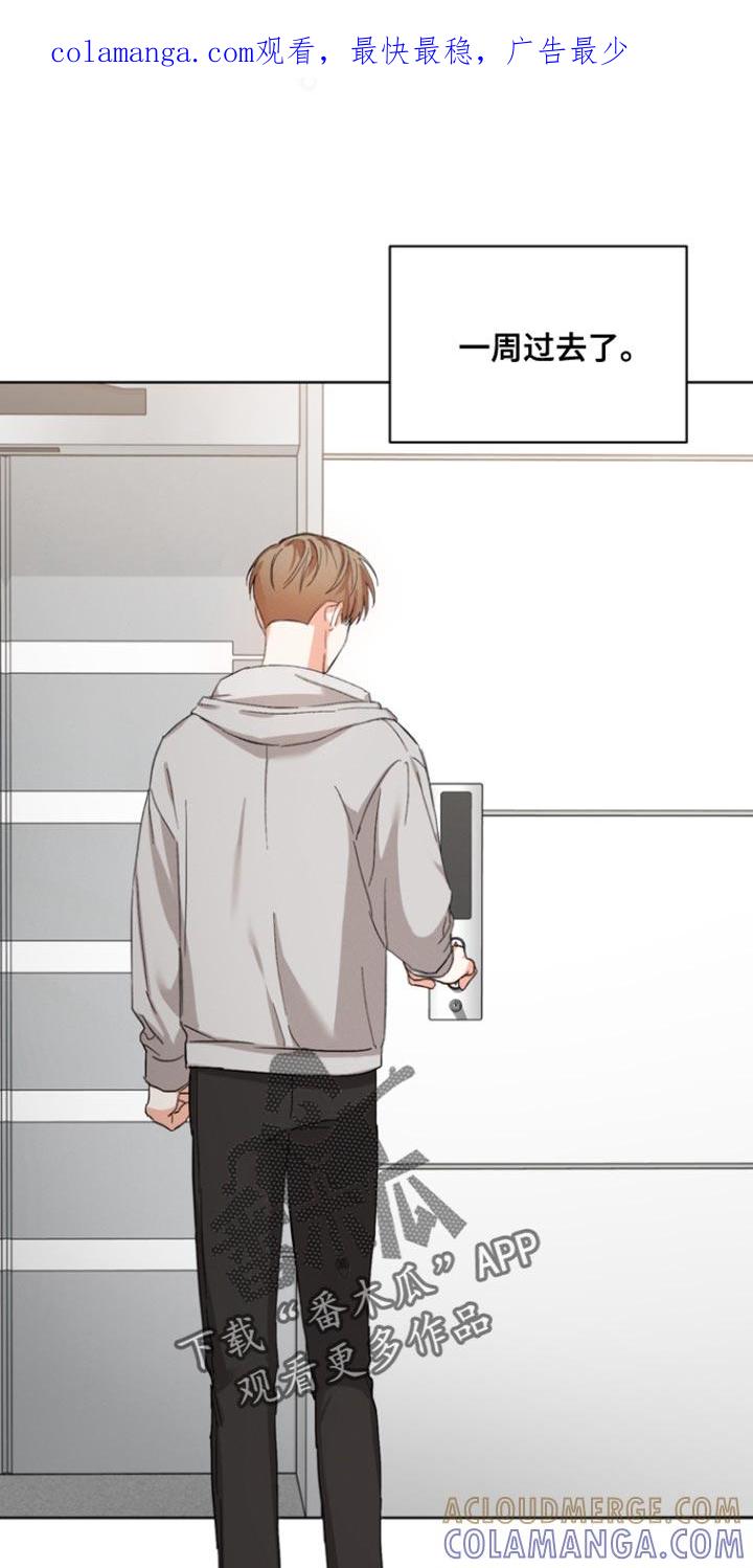 《逢九年》第113章：【第三季】那随便吧 第1页