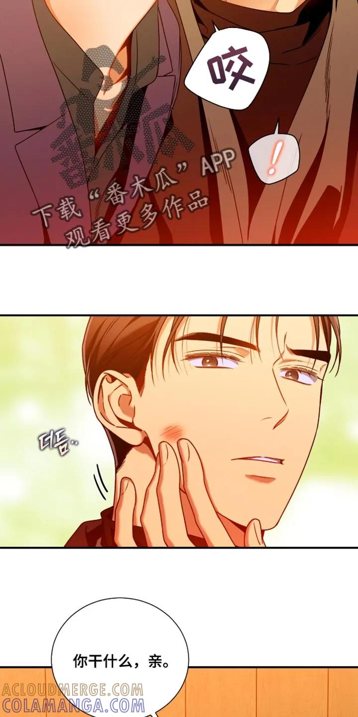 《遗失的道德》第203章：【第二季】不听话 第13页