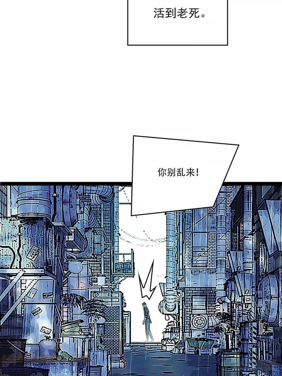 《王炸》陈七 第13页