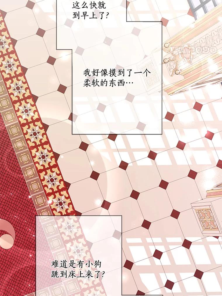 《龙套大公子妃的花路人生》13.药的来历 第111页