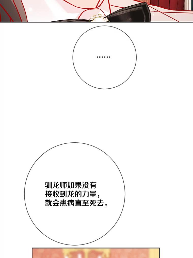 《龙套大公子妃的花路人生》15.驯龙师？ 第38页