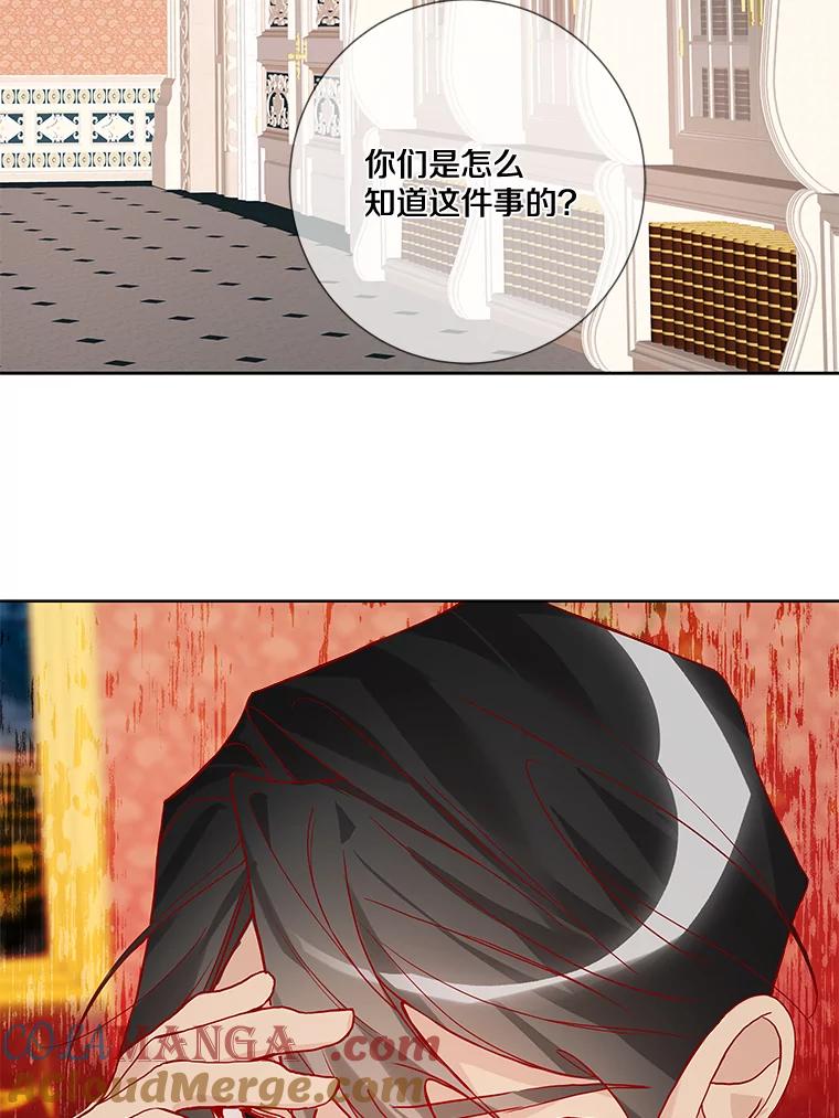《龙套大公子妃的花路人生》15.驯龙师？ 第41页