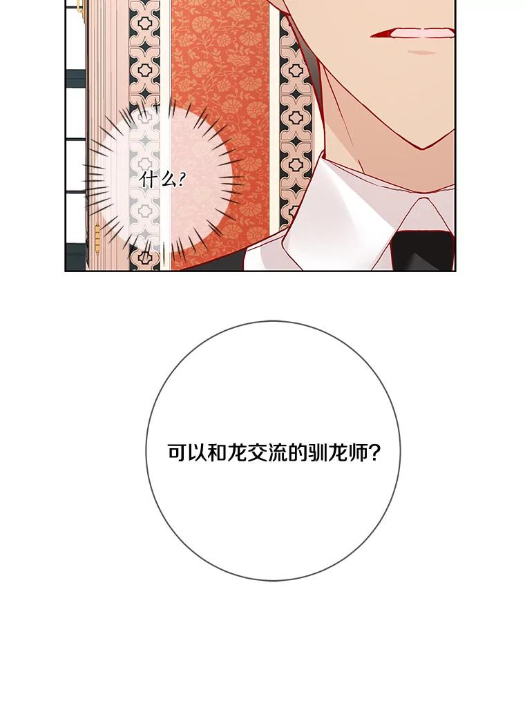 《龙套大公子妃的花路人生》15.驯龙师？ 第24页