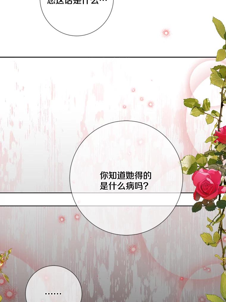 《龙套大公子妃的花路人生》15.驯龙师？ 第15页