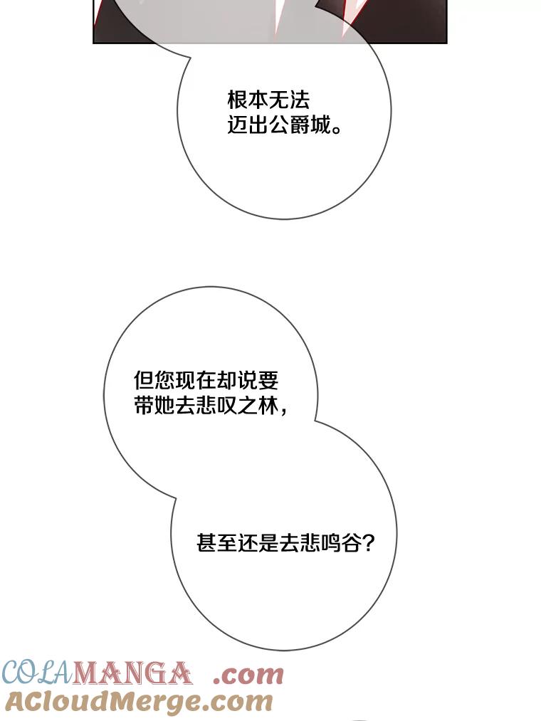 《龙套大公子妃的花路人生》15.驯龙师？ 第5页