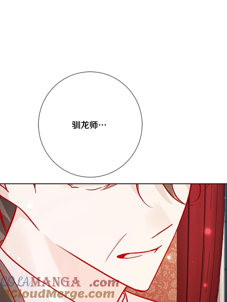 《龙套大公子妃的花路人生》15.驯龙师？ 第37页