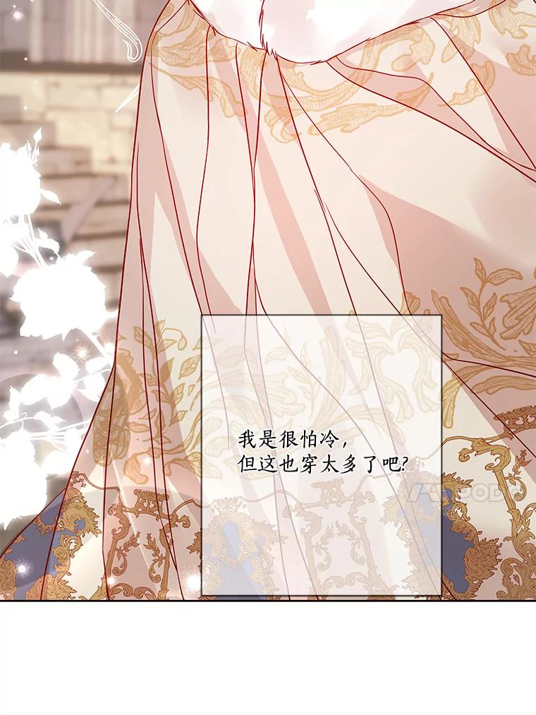 《龙套大公子妃的花路人生》16.出发去悲鸣谷 第62页