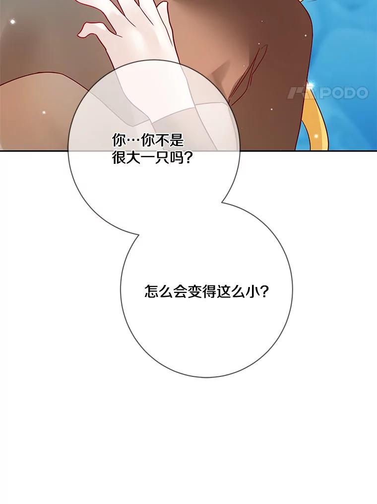 《龙套大公子妃的花路人生》18.龙的主人 第122页
