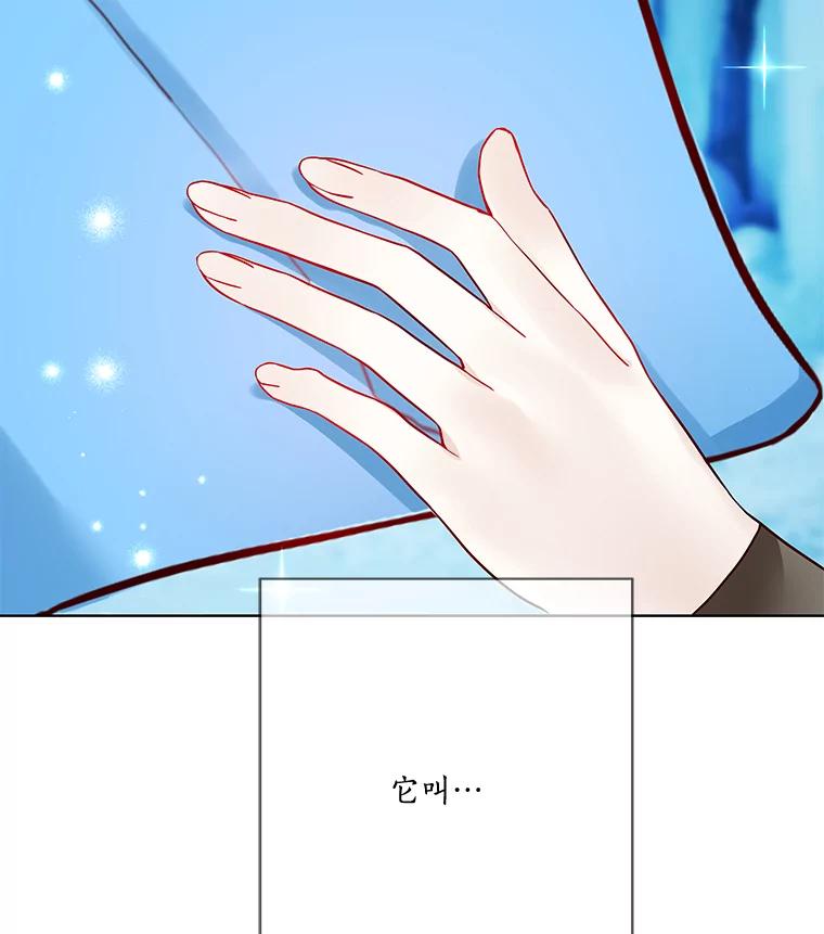 《龙套大公子妃的花路人生》18.龙的主人 第94页