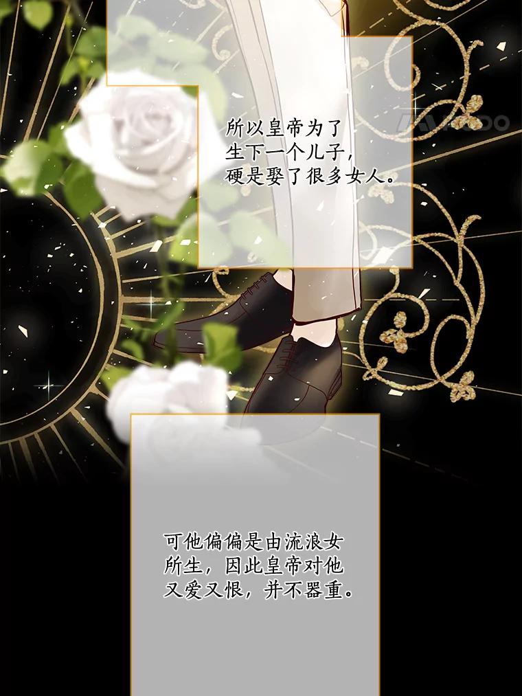《龙套大公子妃的花路人生》19.宴会前夕 第4页