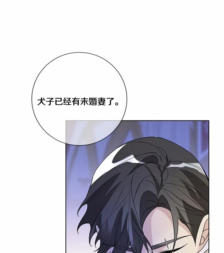 《龙套大公子妃的花路人生》23.宴会第一天 第3页