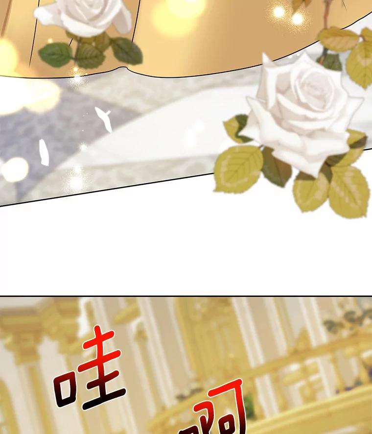 《龙套大公子妃的花路人生》23.宴会第一天 第76页