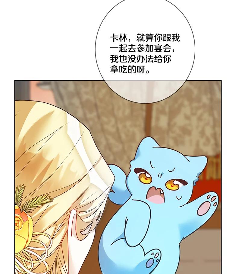 《龙套大公子妃的花路人生》23.宴会第一天 第58页