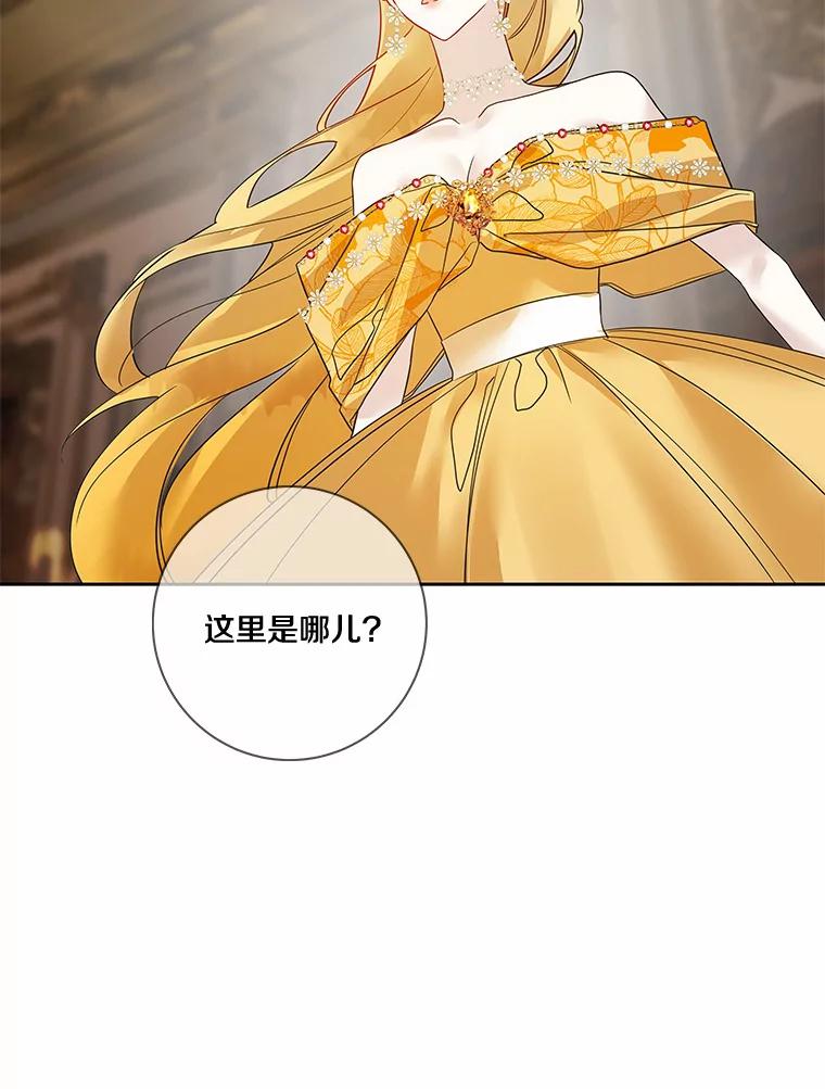 《龙套大公子妃的花路人生》24.拜见皇帝 第111页
