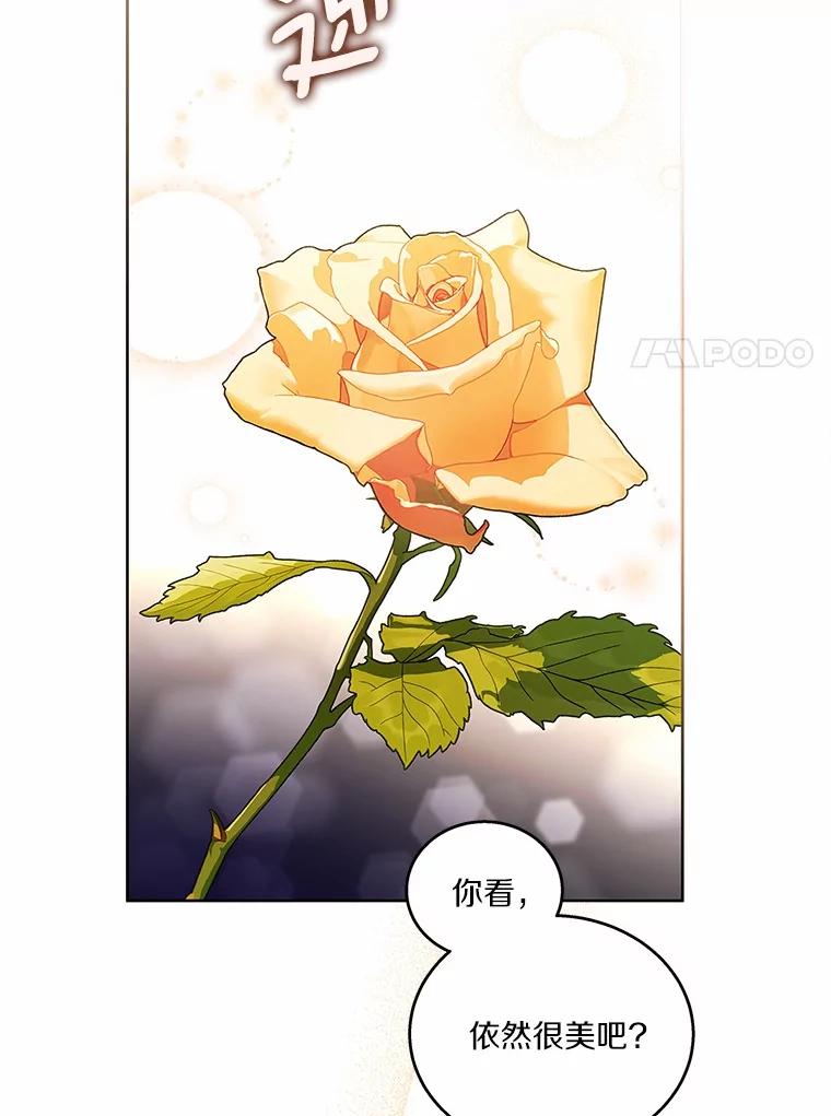 《上司的求婚》24.合力抓偷拍狂 第66页