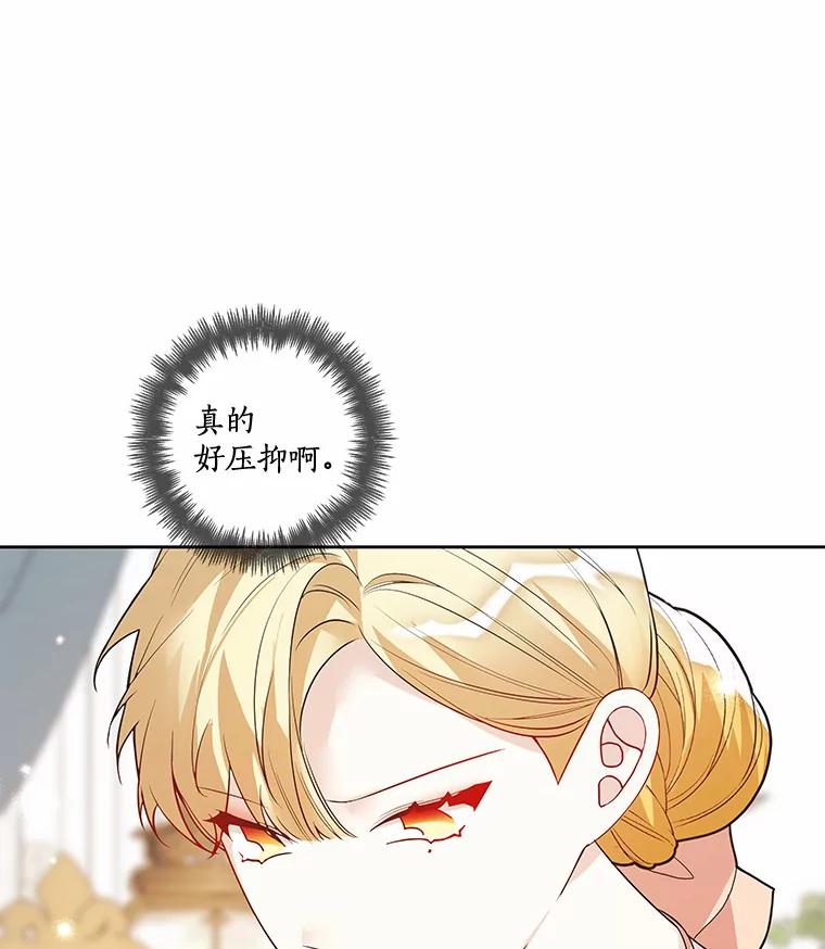 《龙套大公子妃的花路人生》26.皇女邀约 第86页