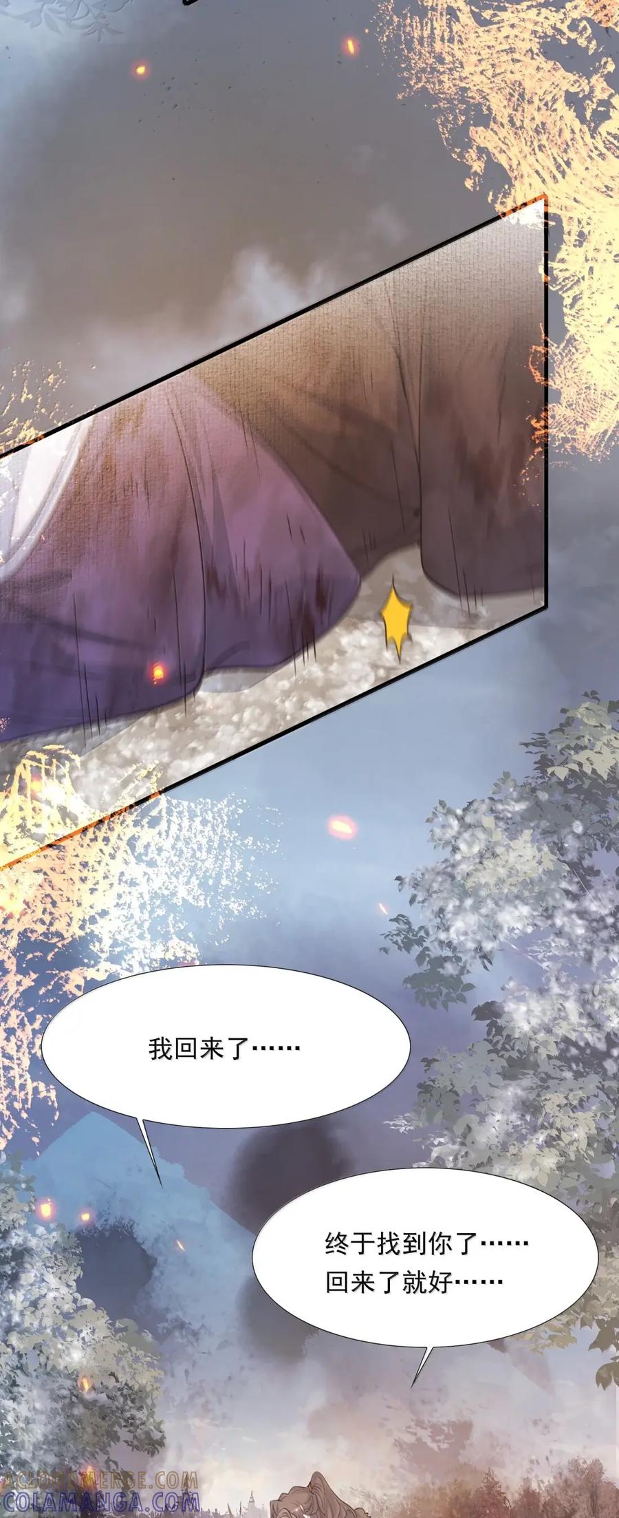 《乱世为王》132 满江红·重逢 第43页