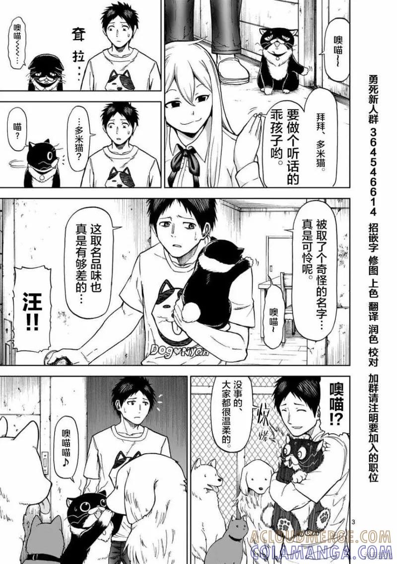 《血与灰的女王》第44.5话 第3页