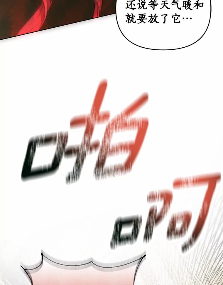 《与陛下同寝的生存法则》54.价值 第12页
