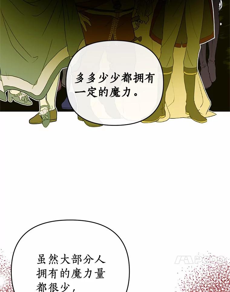《与陛下同寝的生存法则》59.魔石的秘密 第96页