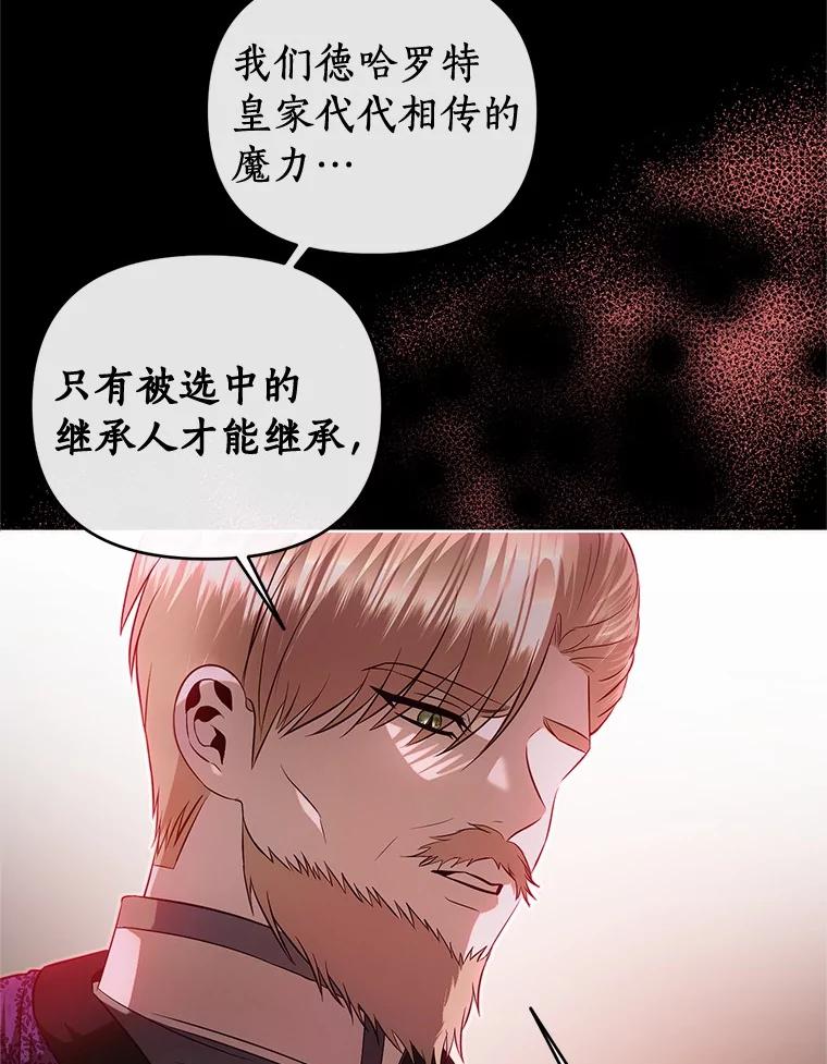 《与陛下同寝的生存法则》63.魔石器具 第5页