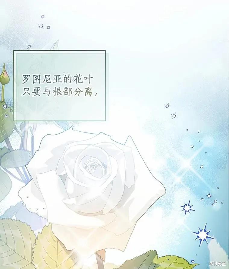 作为假圣女，却被众人迷恋？ 第35话 第2页
