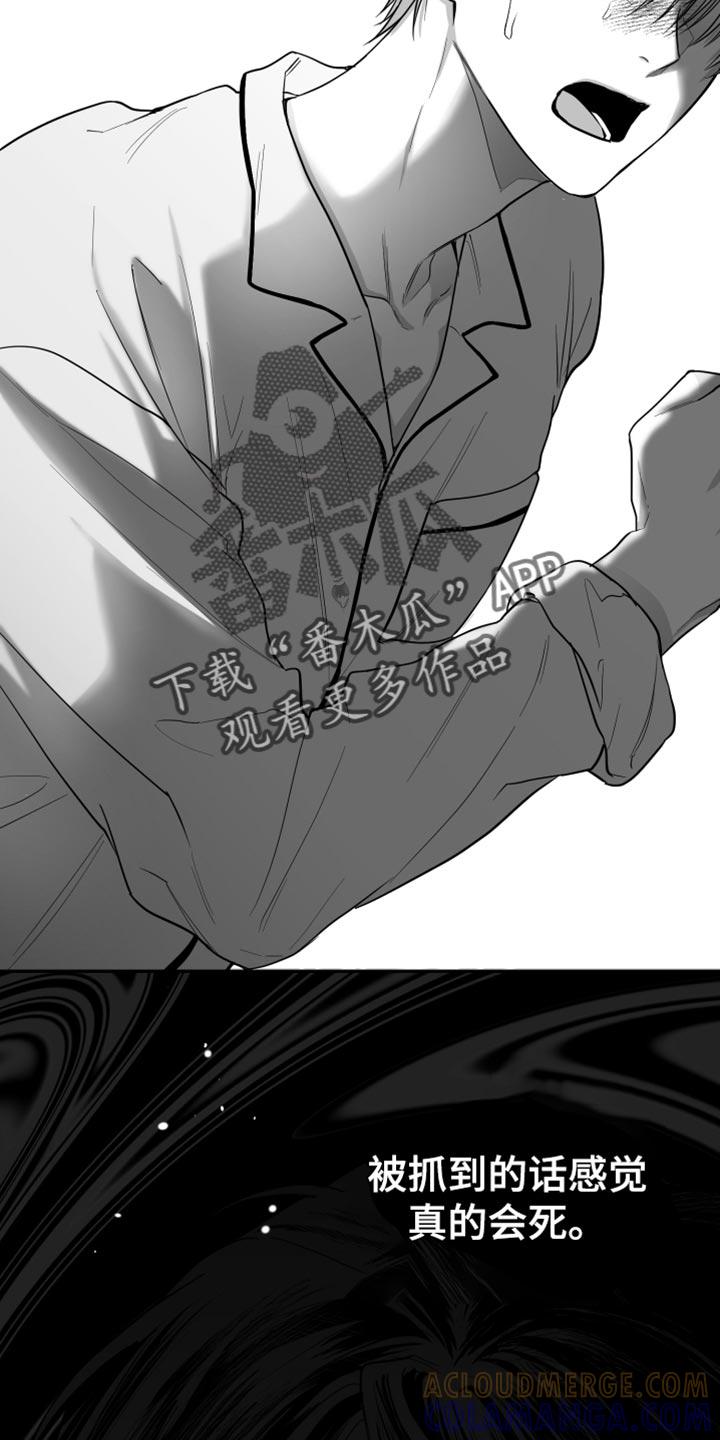 《狂乱欺压》第27章：抓住了 第3页