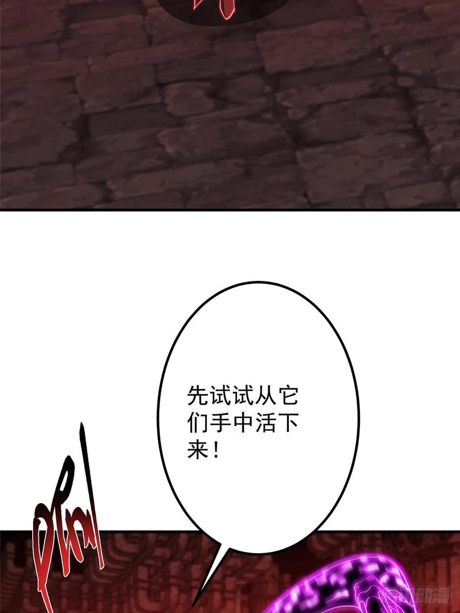 掌门低调点 549 斗篷下令人瞠目结舌 第12页