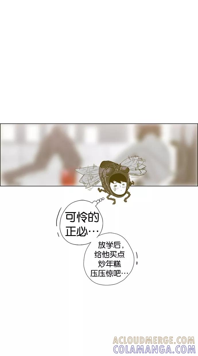 一往无前 [第1话] 哈喽，臭苍蝇 第82页