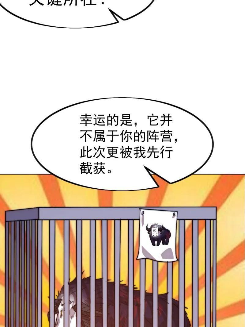 65.jpg