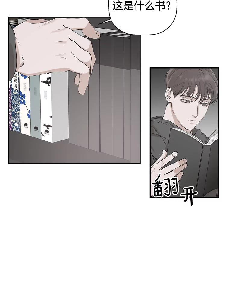 《异乡人》10.属于我的 第44页