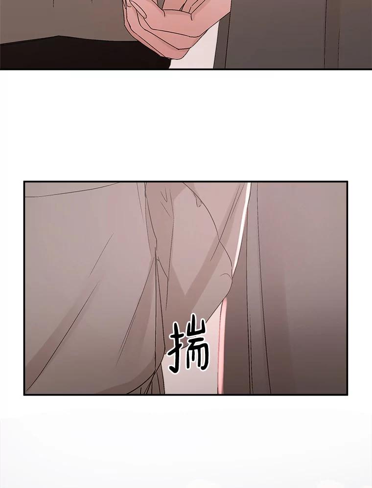 《异乡人》7.带回家的原因 第28页
