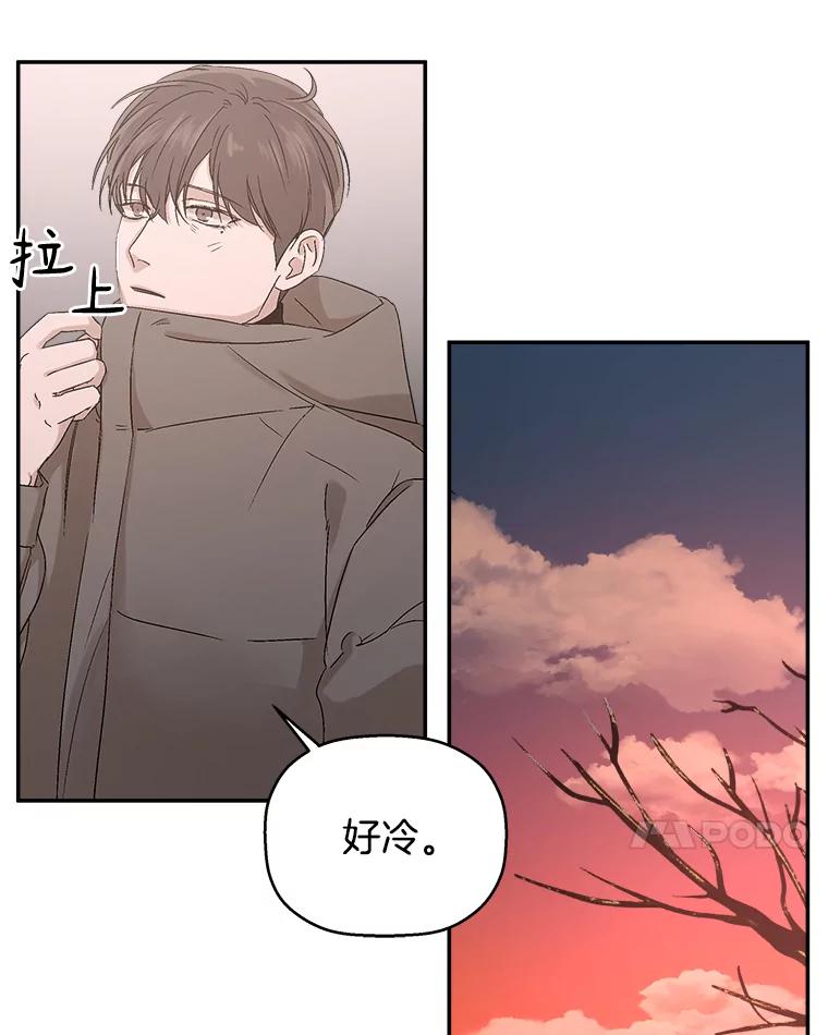《异乡人》7.带回家的原因 第7页
