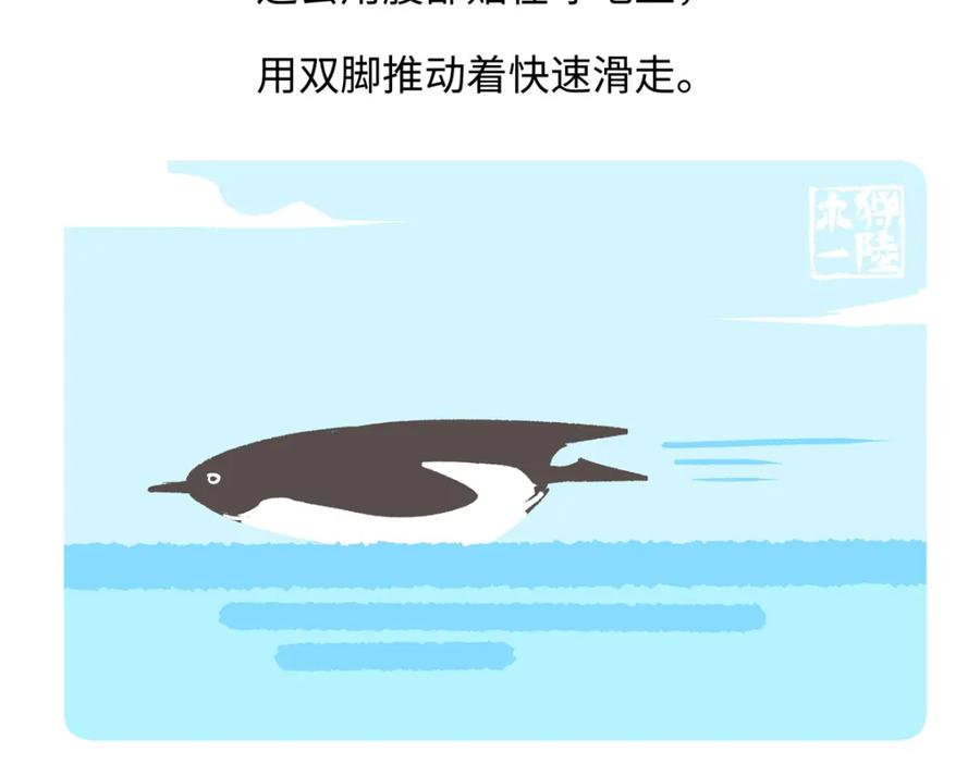《胖达x胖达》第270话 第22页