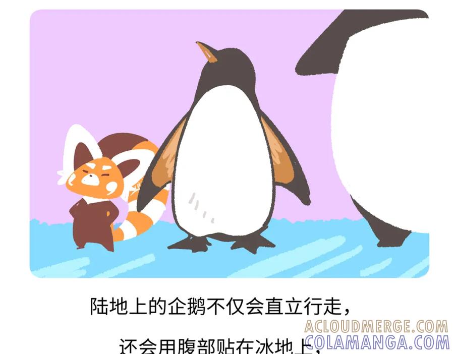 《胖达x胖达》第270话 第21页