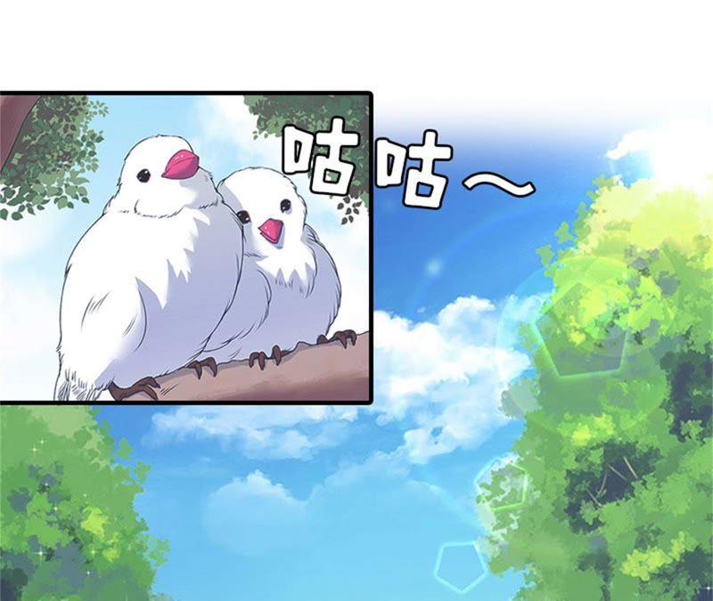 《误入婚途：叛逆娇妻不好惹》安安 第114页