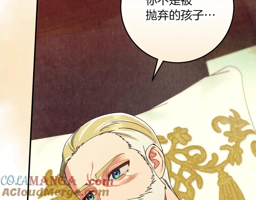 不幸的骑士，请和姐姐恋爱吧 - 第57话 父子相认 - 第217张图