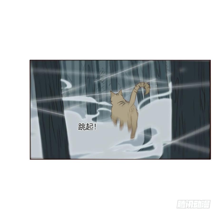 拥然入怀 一九六章 十印 第16页