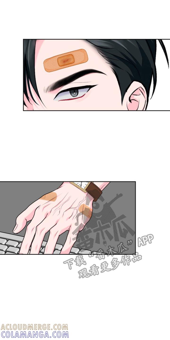 《给记忆添香》第35章：记忆消失 第15页
