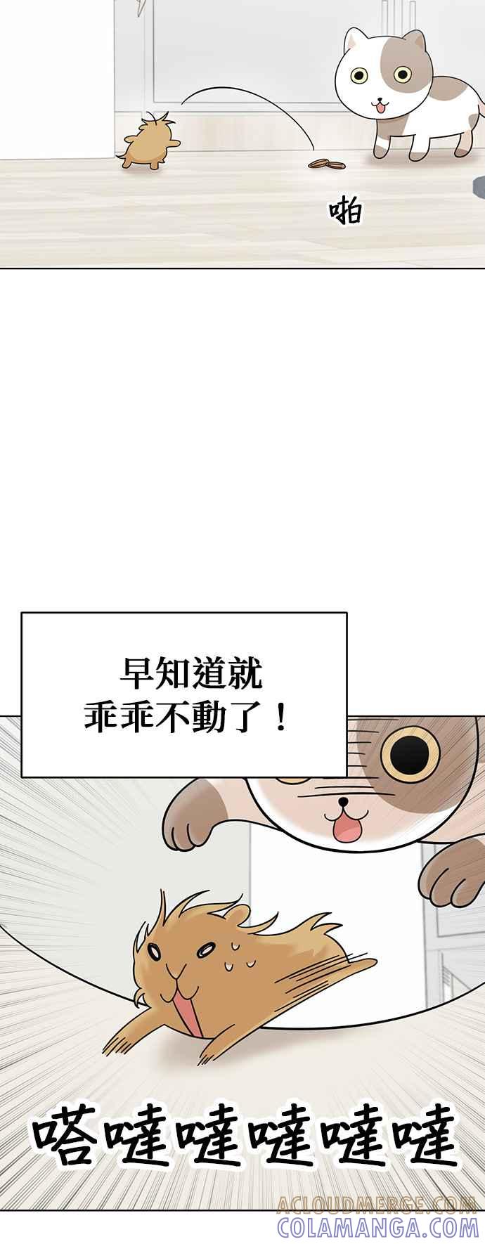 我家妹妹是狗狗 第77话 带我回家 第16页