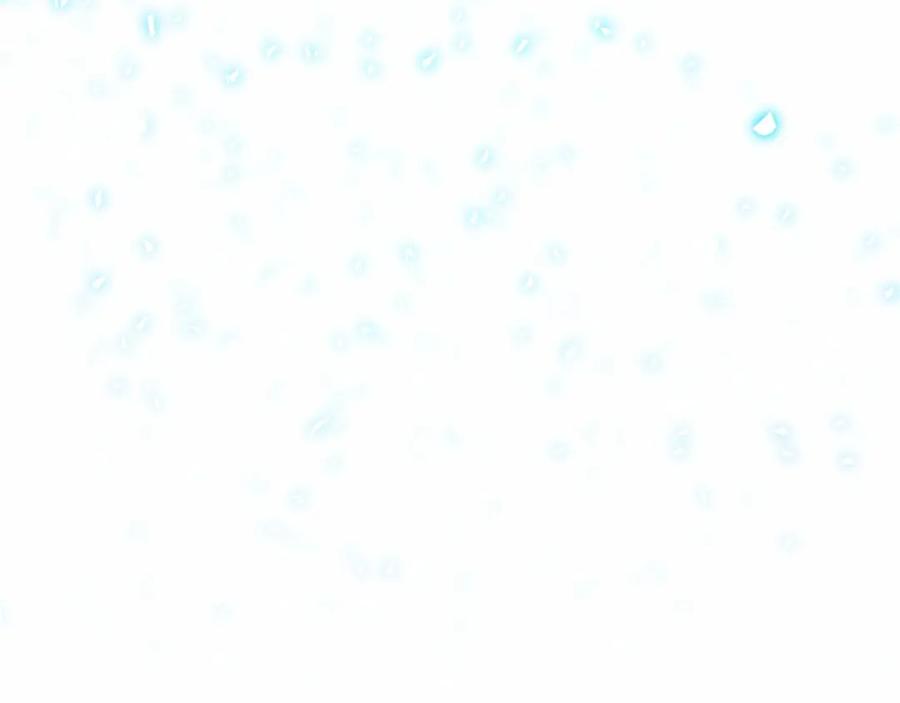 永恒的契约 第9话 魔力 第132页