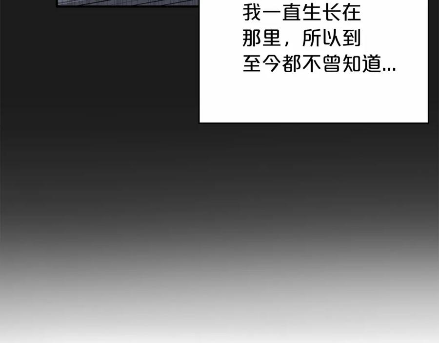 永恒的契约 第38话 友好的城市 第255页