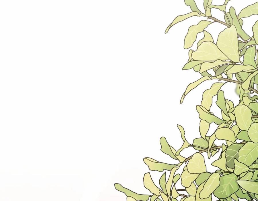 永恒的契约 第43话 前世今生 第230页