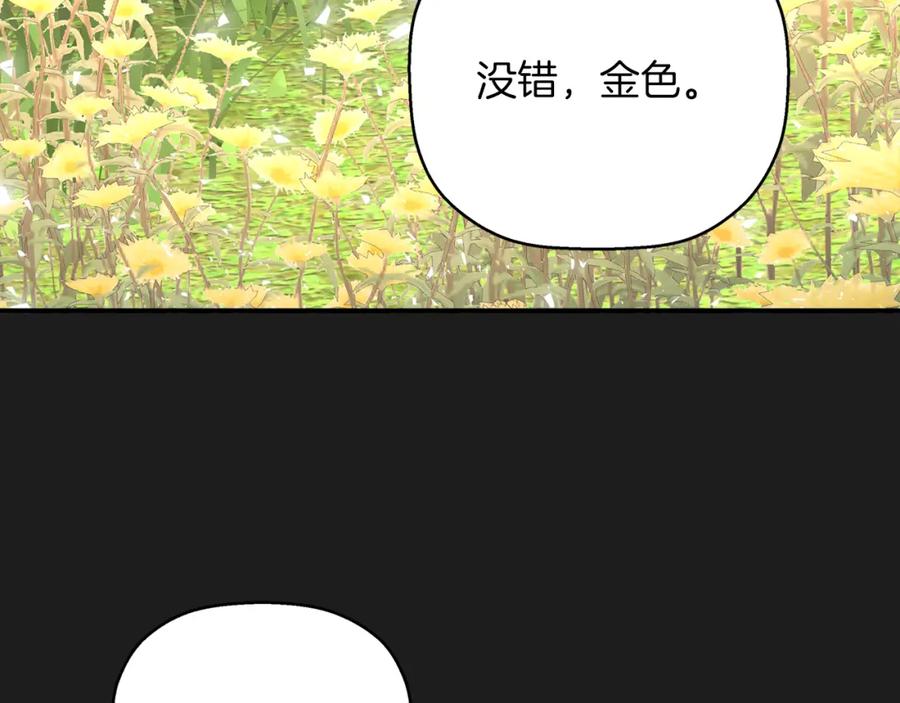 永恒的契约 第一季完结篇 陌生的客人 第286页