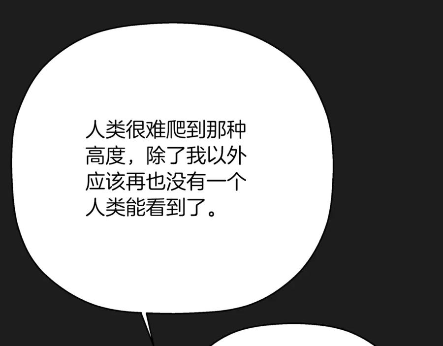 永恒的契约 第一季完结篇 陌生的客人 第251页