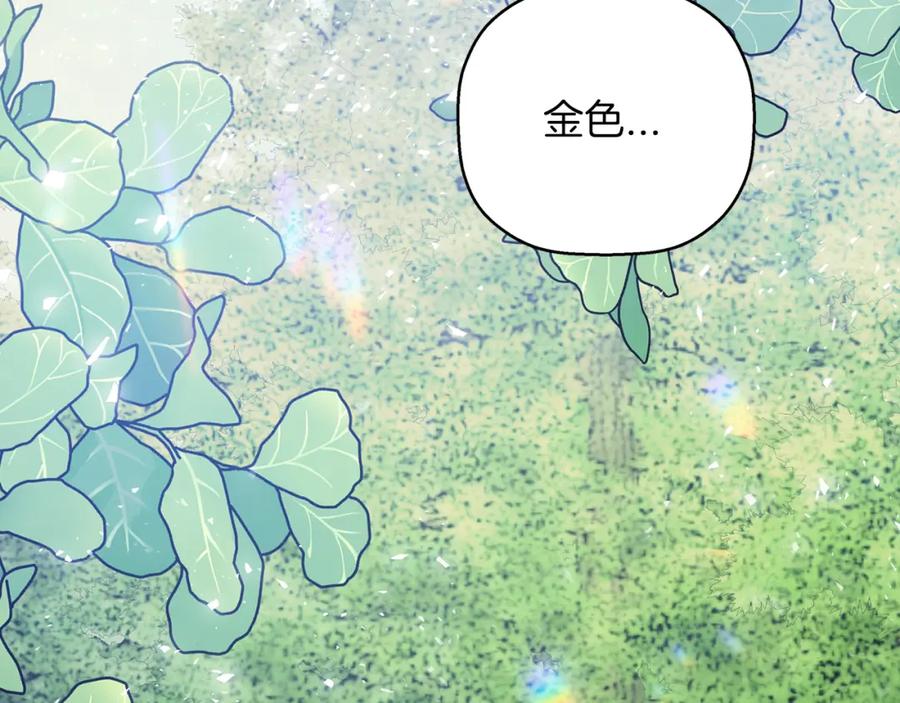 永恒的契约 第一季完结篇 陌生的客人 第283页